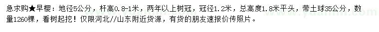求購地徑5公分早櫻
