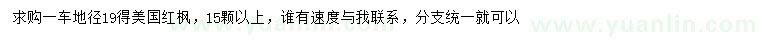 求購地徑19公分美國紅楓