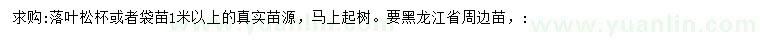 求購(gòu)1米以上落葉松