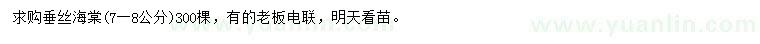 求購7-8公分垂絲海棠