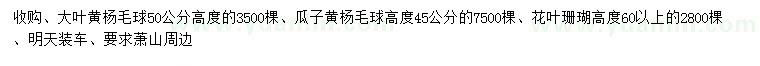 求購大葉黃楊毛球、瓜子黃楊毛球、花葉珊瑚