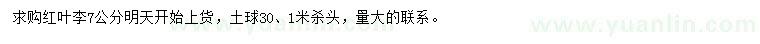 求購(gòu)7公分紅葉李
