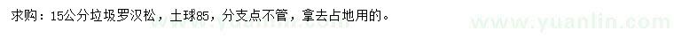 求購15公分羅漢松