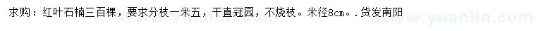 求購米徑8公分紅葉石楠