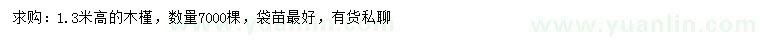 求購高1.3米木槿