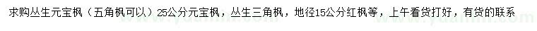 求購叢生元寶楓、五角楓、叢生三角楓等