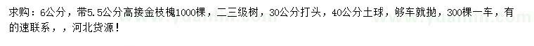 求購6公分高接金枝槐