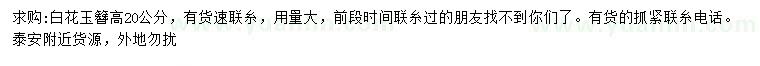 求購高20公分白花玉簪