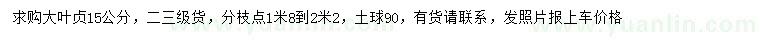 求購15公分大葉女貞