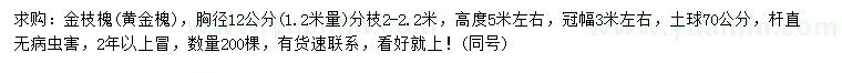 求購(gòu)1.2米量12公分金枝槐、黃金槐