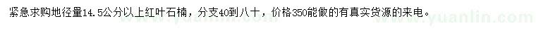 求購地徑14.5公分以上紅葉石楠
