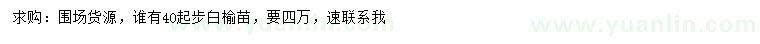 求購40公分起步白榆