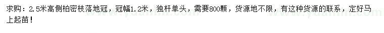 求購高2.5米側(cè)柏