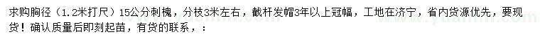 求購(gòu)胸徑1.2米打尺15公分刺槐