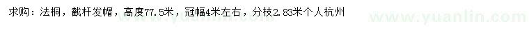 求購冠幅4米法桐