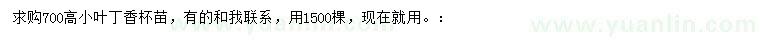 求購(gòu)高7米小葉丁香