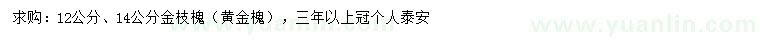 求購(gòu)12、14公分金枝槐/黃金槐