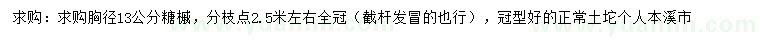 求購胸徑13公分糖槭