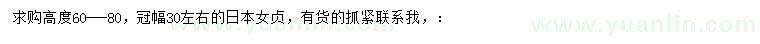求購(gòu)高60-80公分日本女貞
