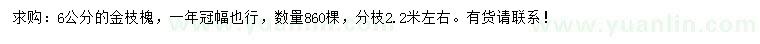 求購6公分金枝槐