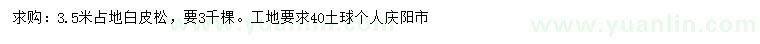 求購3.5米白皮松