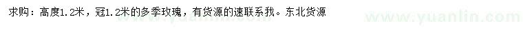 求購冠幅1.2米多季玫瑰