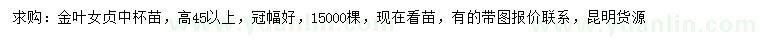 求購高45公分以上金葉女貞