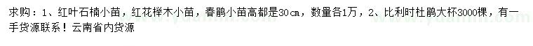 求購紅葉石楠、紅花繼木、春鵑等