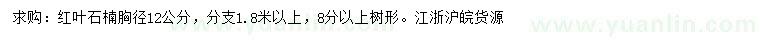 求購胸徑12公分紅葉石楠