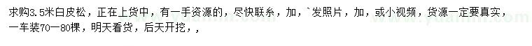 求購3.5米白皮松
