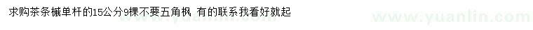 求購單桿15公分茶條槭