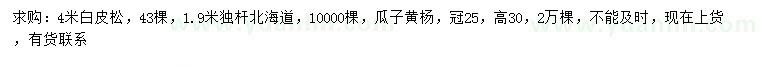 求購(gòu)白皮松、獨(dú)桿北海道、瓜子黃楊
