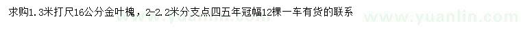 求購1.3米打尺16公分金葉槐