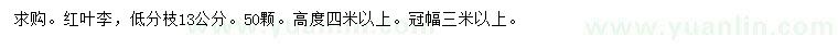 求購13公分紅葉李
