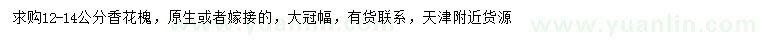 求購12-14公分香花槐