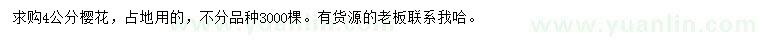 求購4公分櫻花