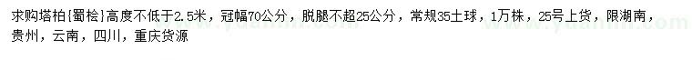 求購高2.5米以上塔柏、蜀檜