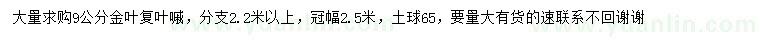 求購9公分金葉復葉槭
