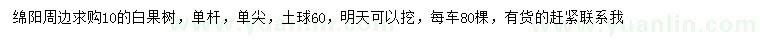 求購10公分白果樹(shù)
