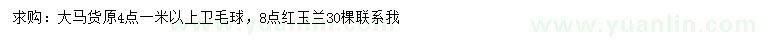 求購1米以上衛(wèi)矛球、紅玉蘭