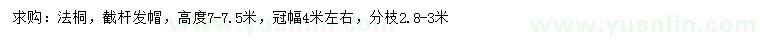求購高7-7.5米法桐