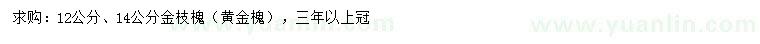 求購12、14公分金枝槐（黃金槐）