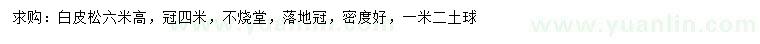 求購高6米白皮松