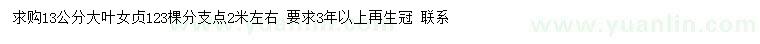 求購13公分大葉女貞