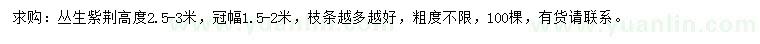 求購冠幅1.5-2米叢生紫荊
