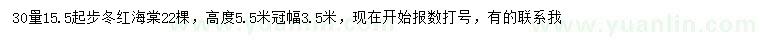 求購30量15.5公分以上冬紅海棠