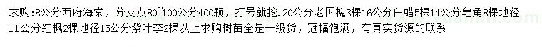 求購西府海棠、老國槐、白蠟等