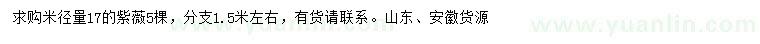 求購米徑17公分紫薇