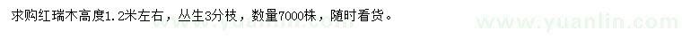 求購(gòu)高1.2米左右紅瑞木