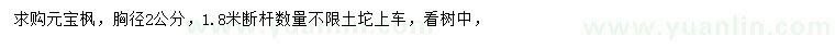 求購胸徑2公分元寶楓